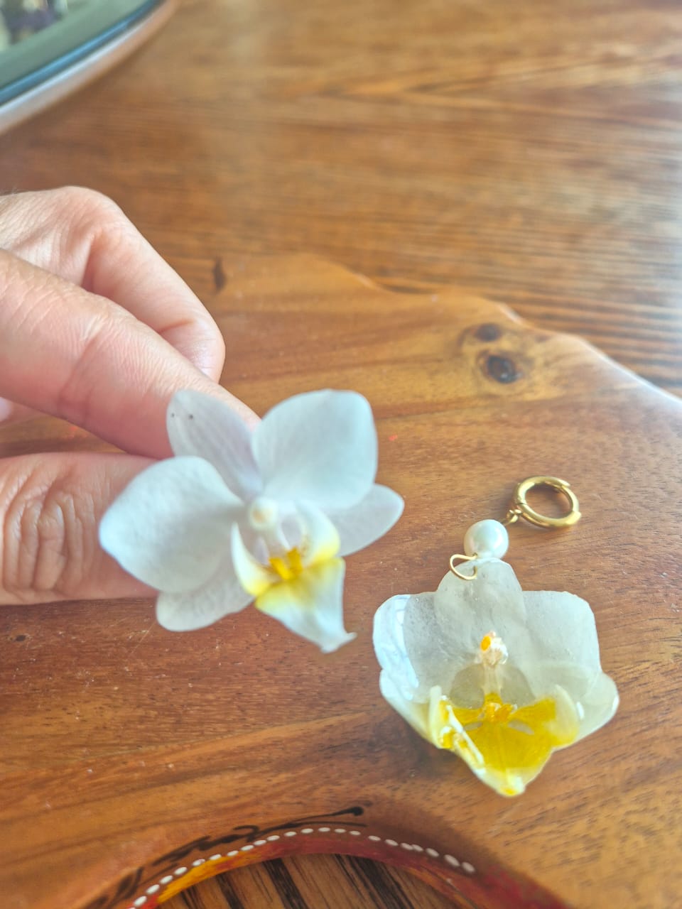 Orquideas