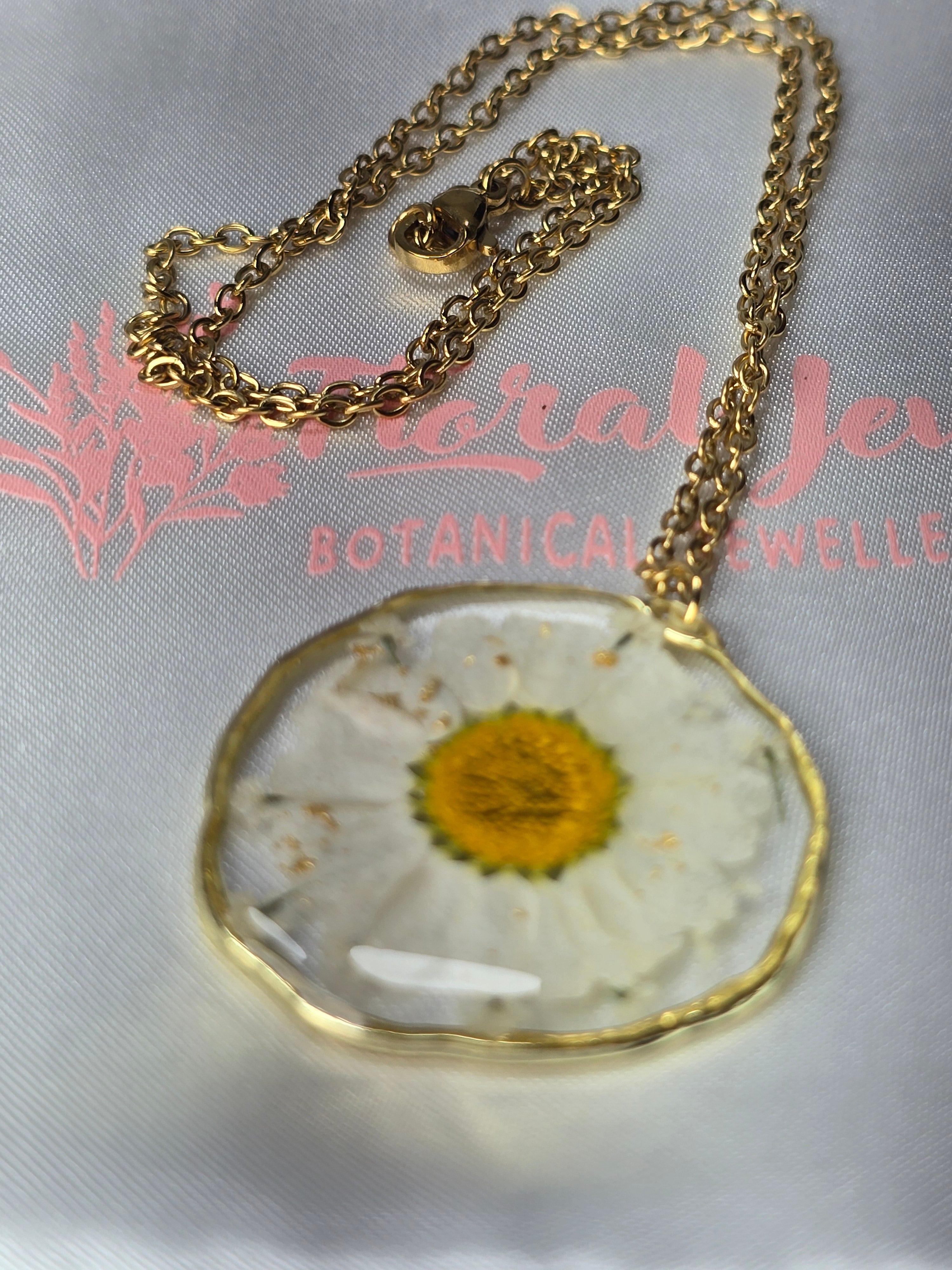 Conjunto Margarida Branca