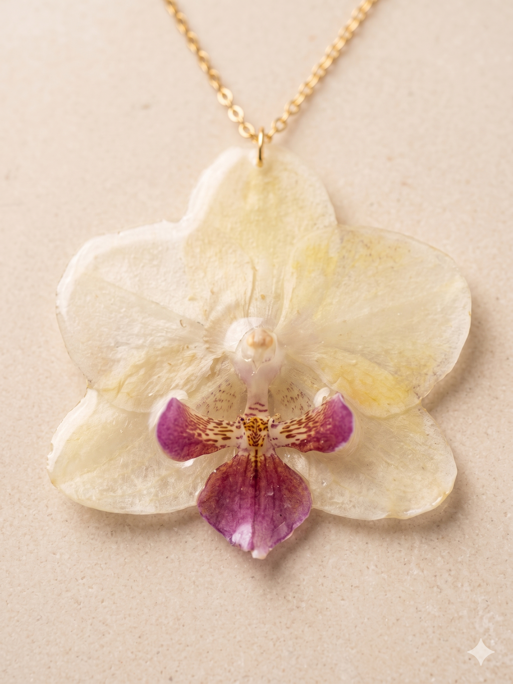 Conjunto Orquídea Amarela e Roxa