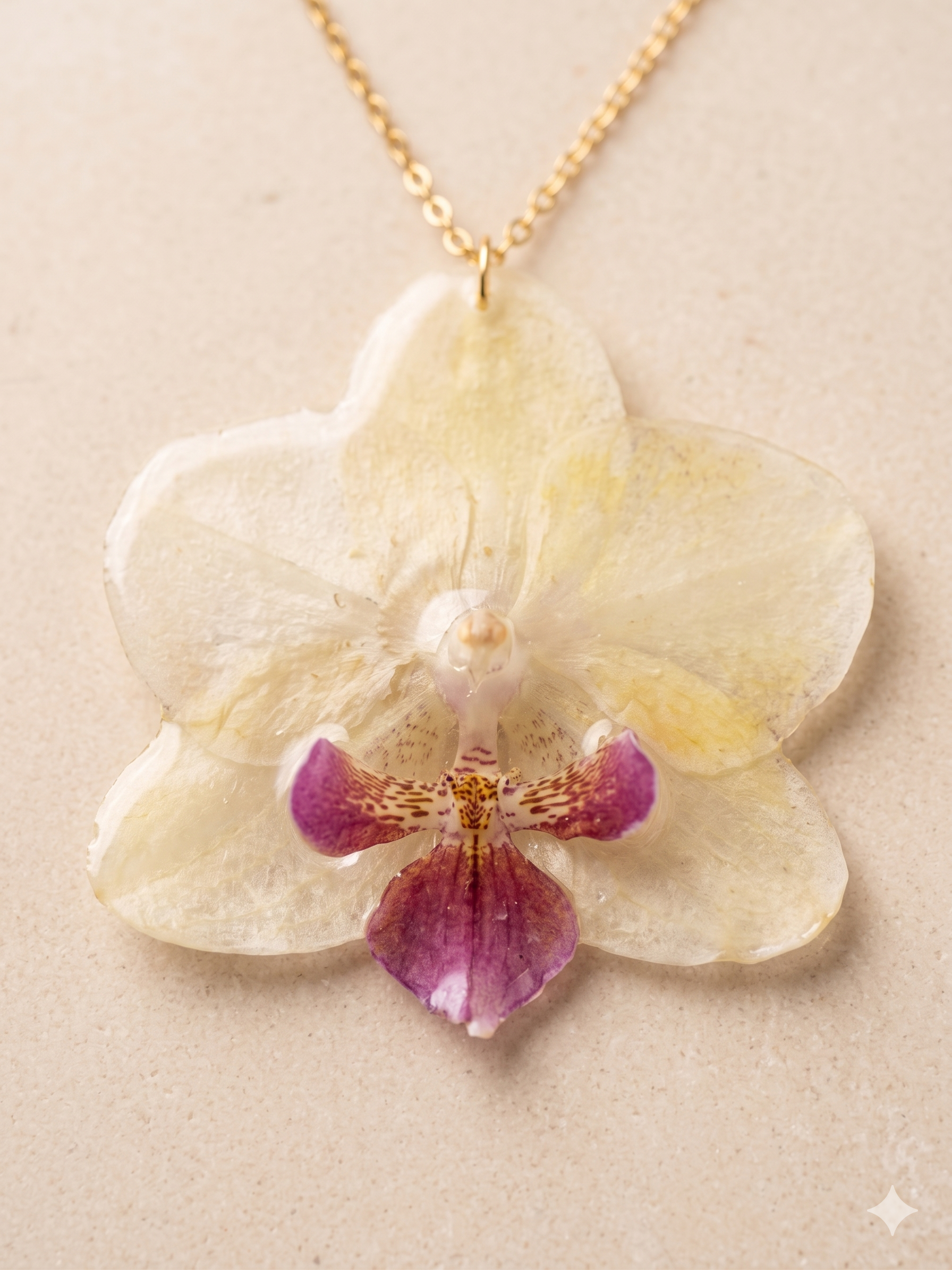 Conjunto Orquídea Amarela e Roxa