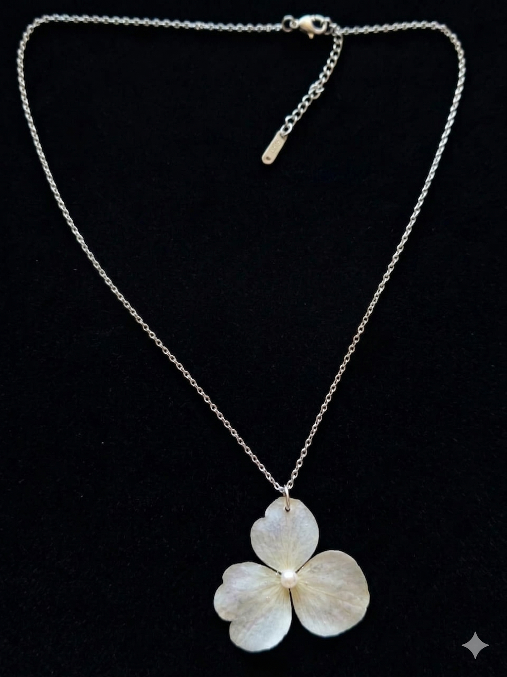 Conjunto Hortênsia Azul