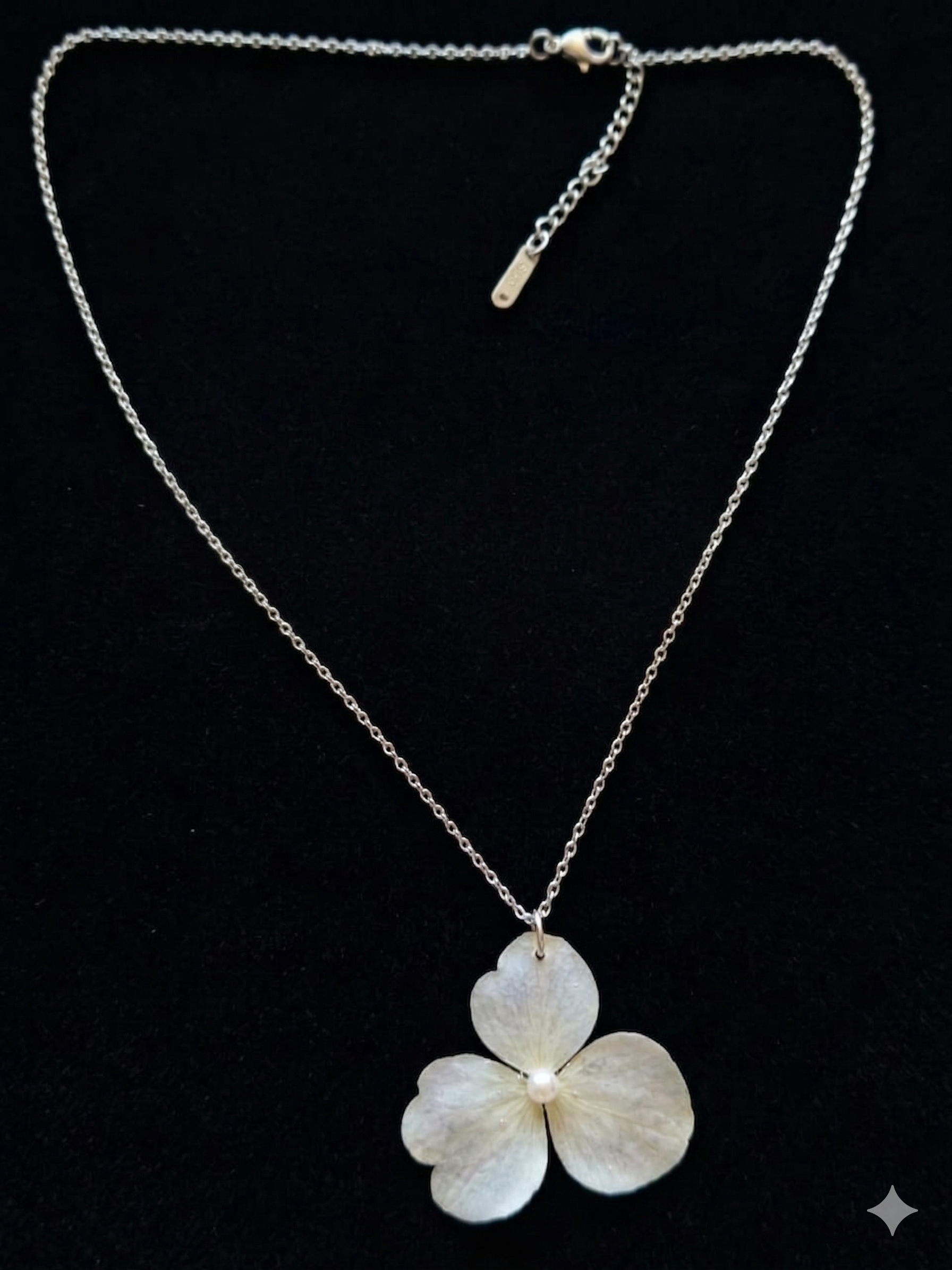 Conjunto Hortênsia Azul