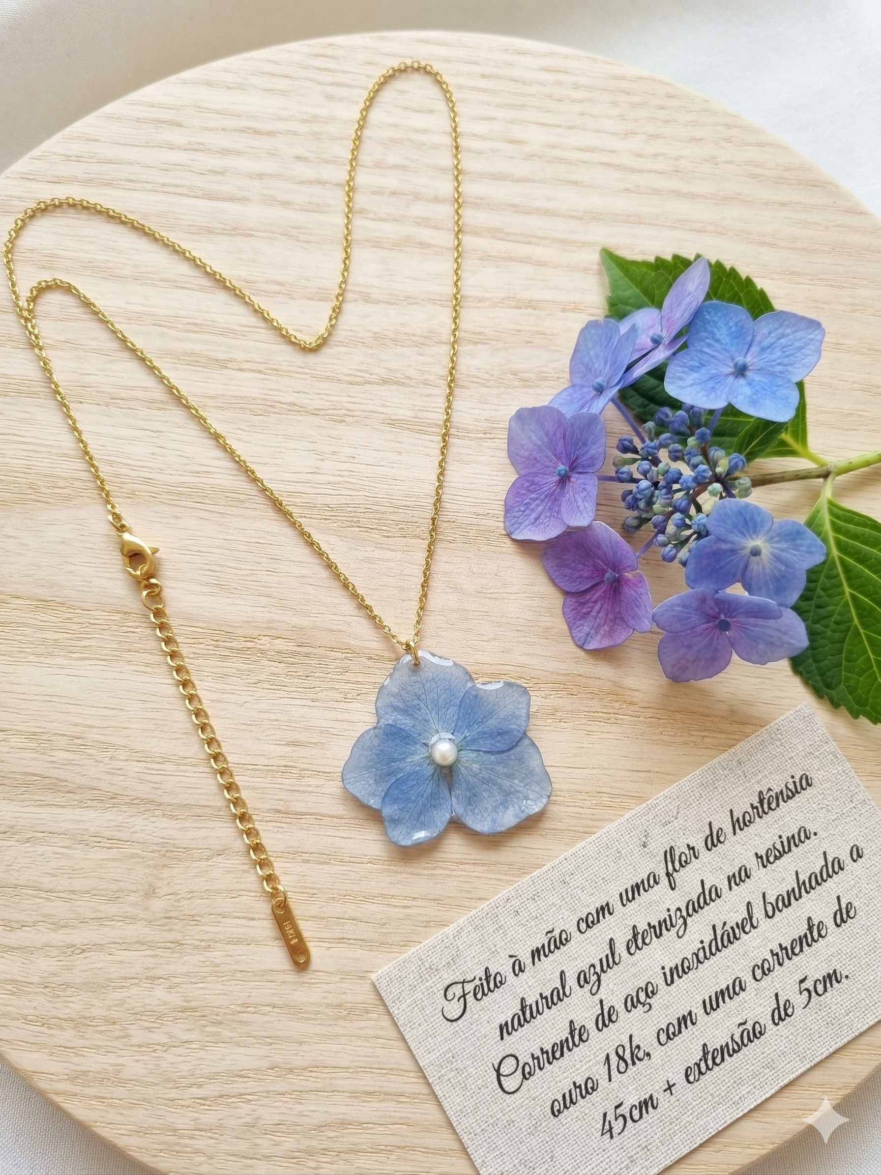 Conjunto Hortênsia Azul