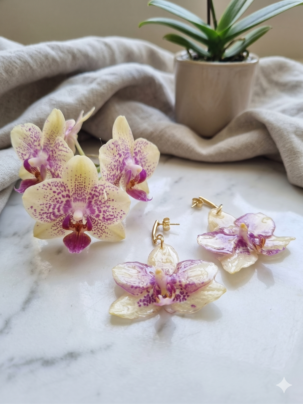 Conjunto Orquídea Branca e Roxa