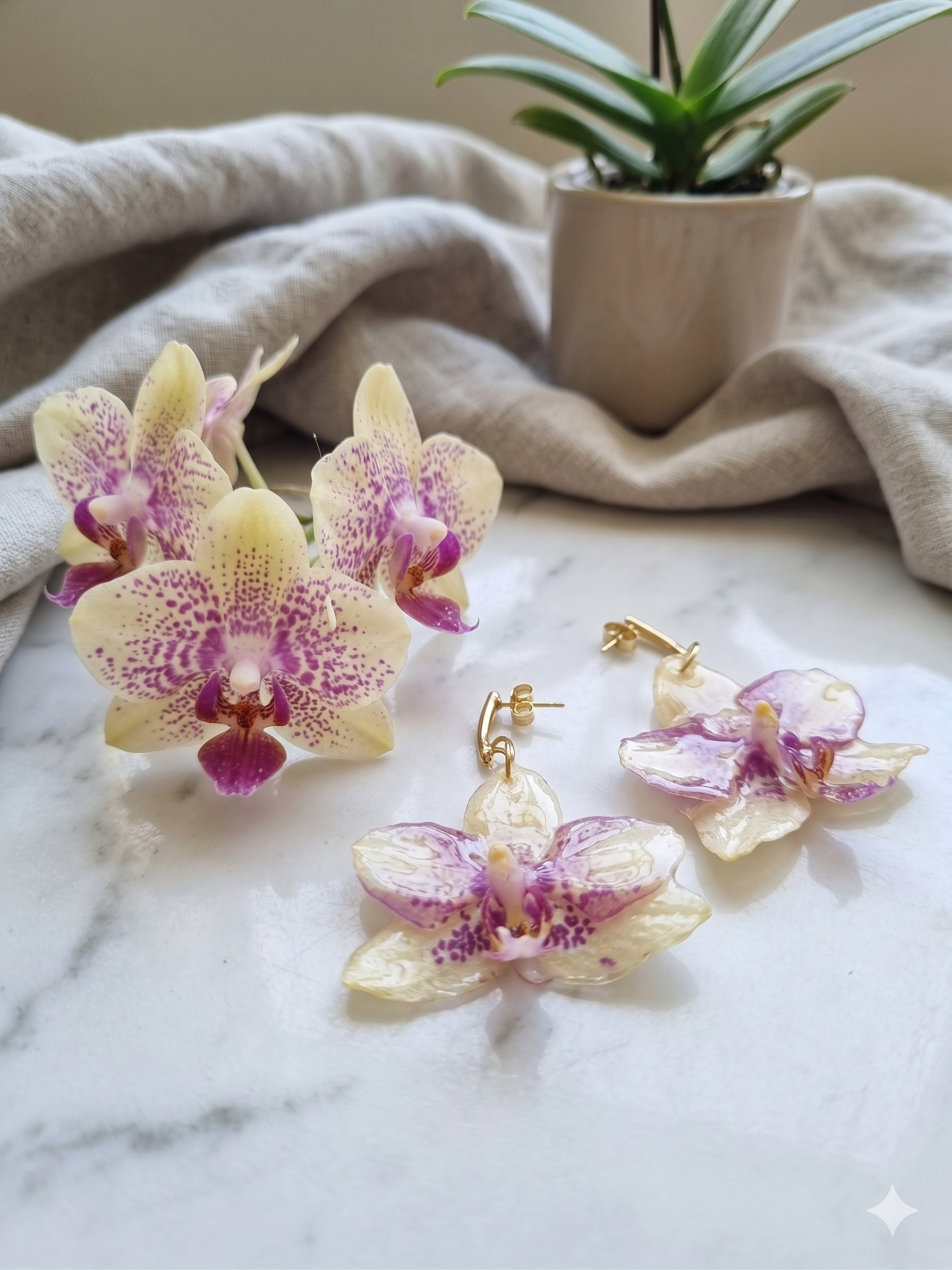 Conjunto Orquídea Branca e Roxa