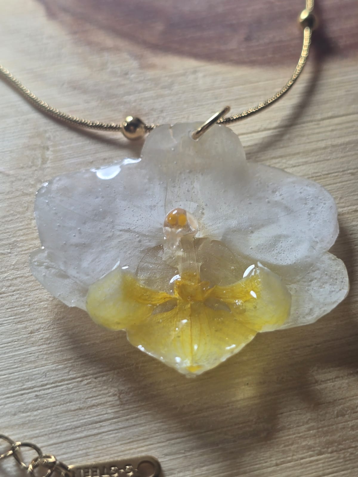 Colar Orquídea Branca Dourada