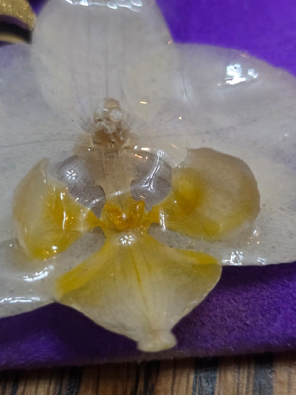 Colar Choker "Orquídea Corações & Borboleta