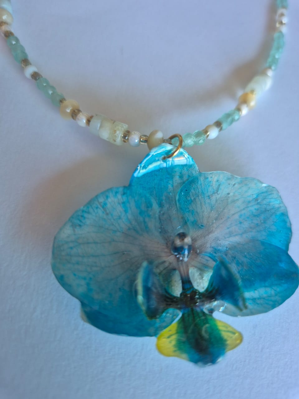 Conjunto Orquídea Azul Natural