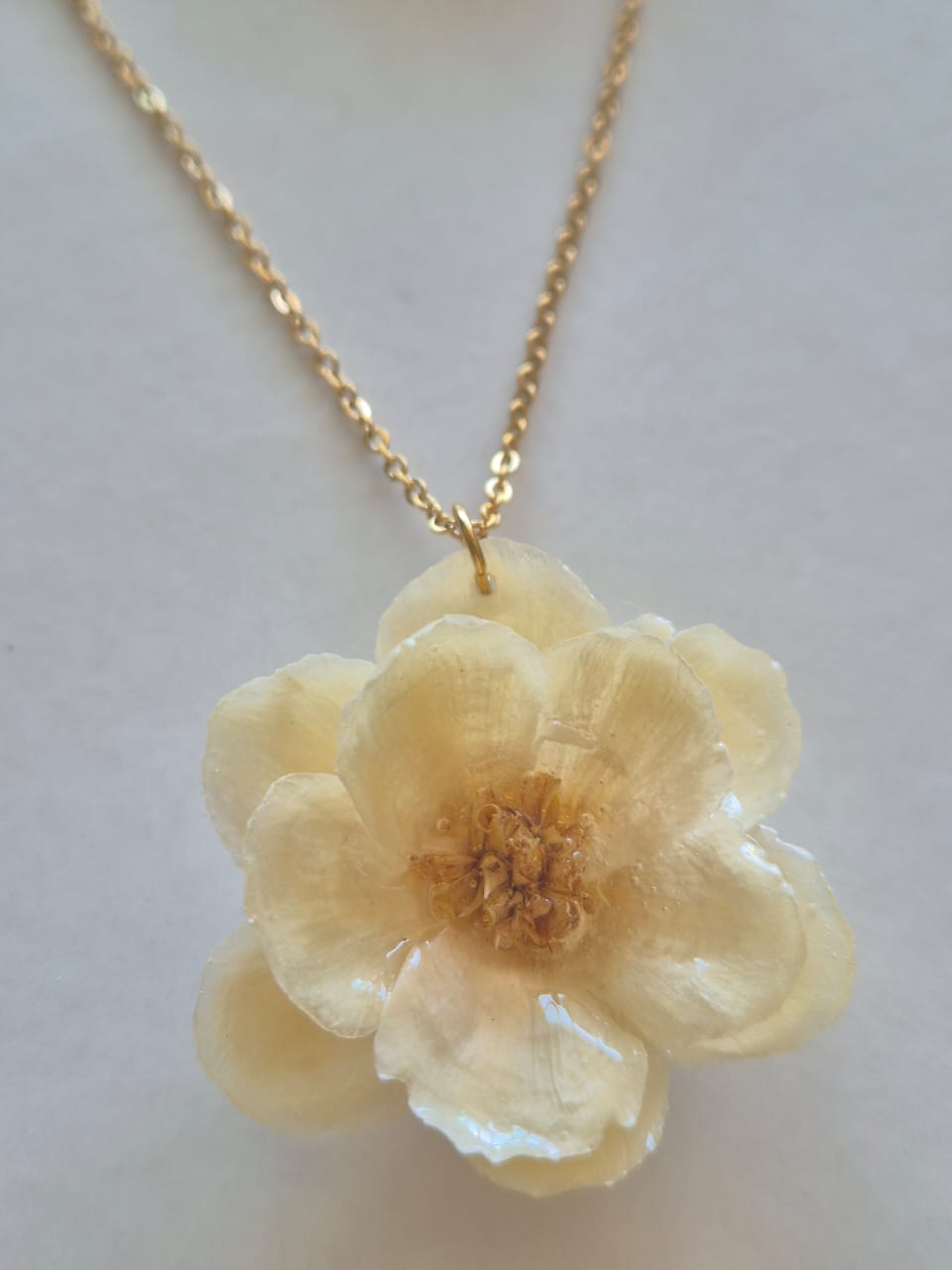 Conjunto Flor Anêmona