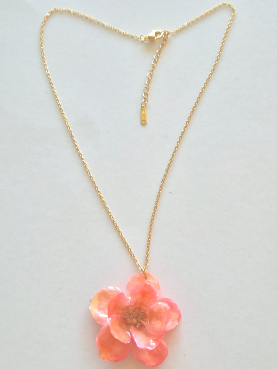 Conjunto Flor Anêmona