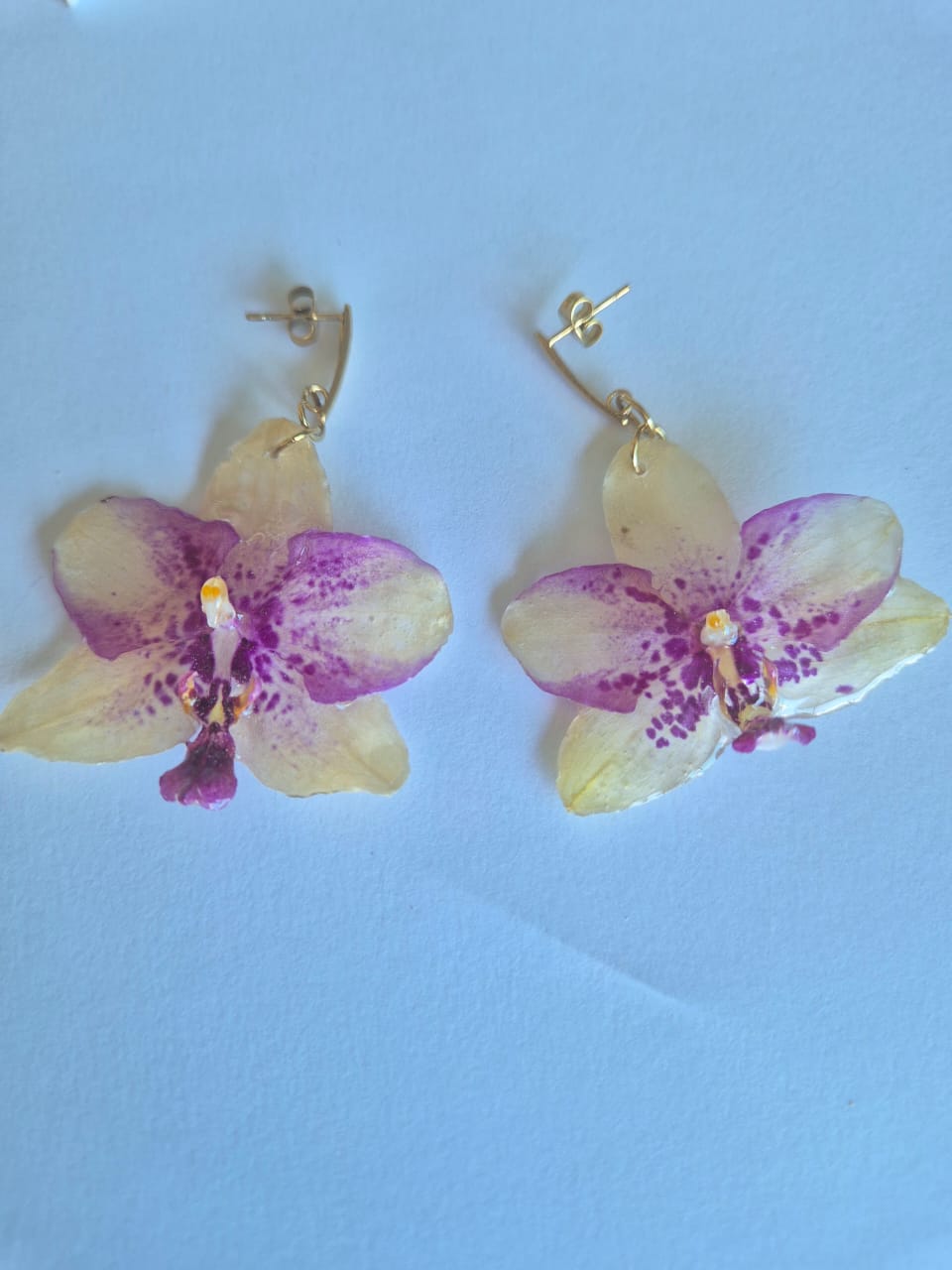 Conjunto Orquídea Branca e Roxa