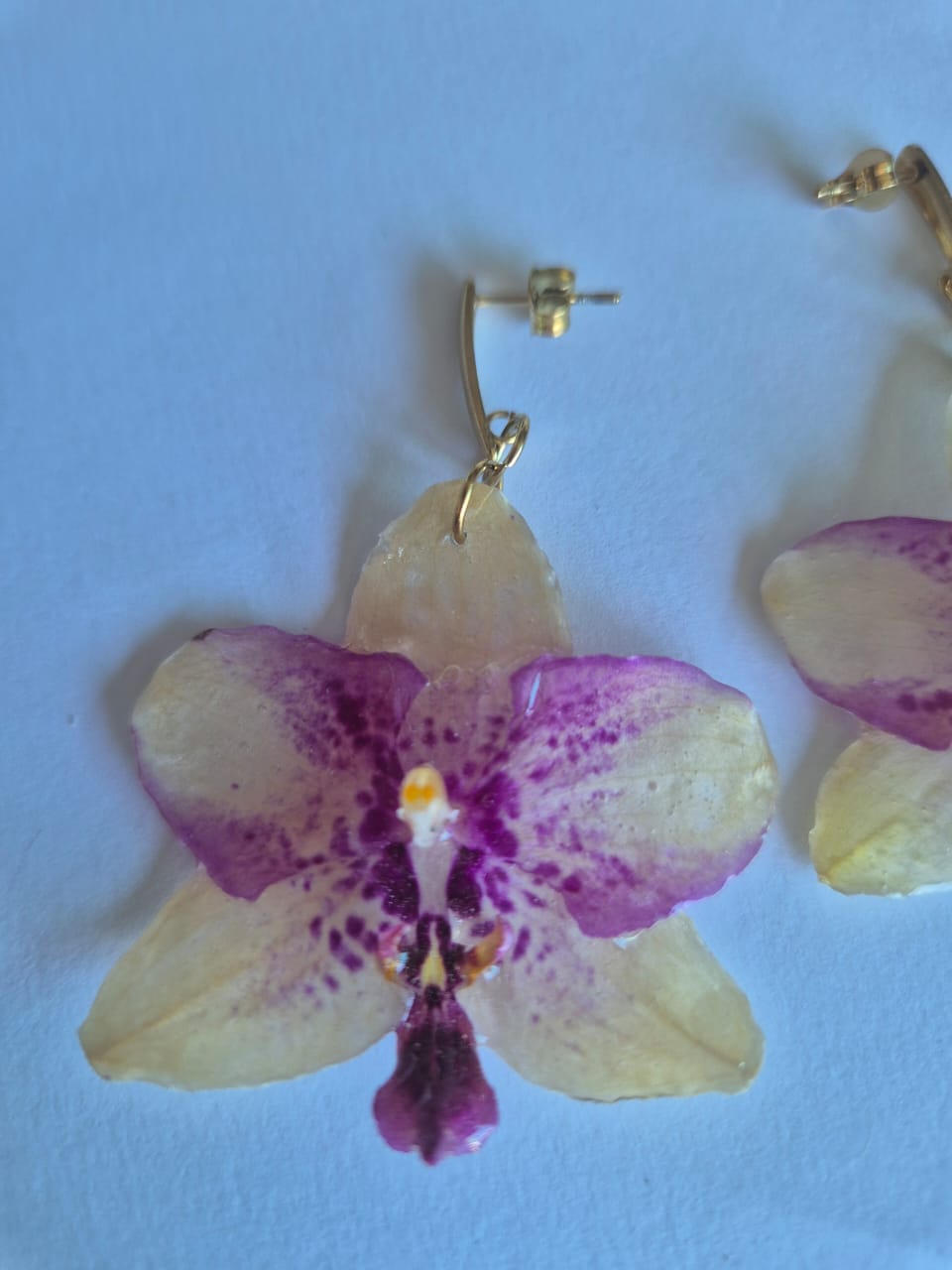 Conjunto Orquídea Branca e Roxa