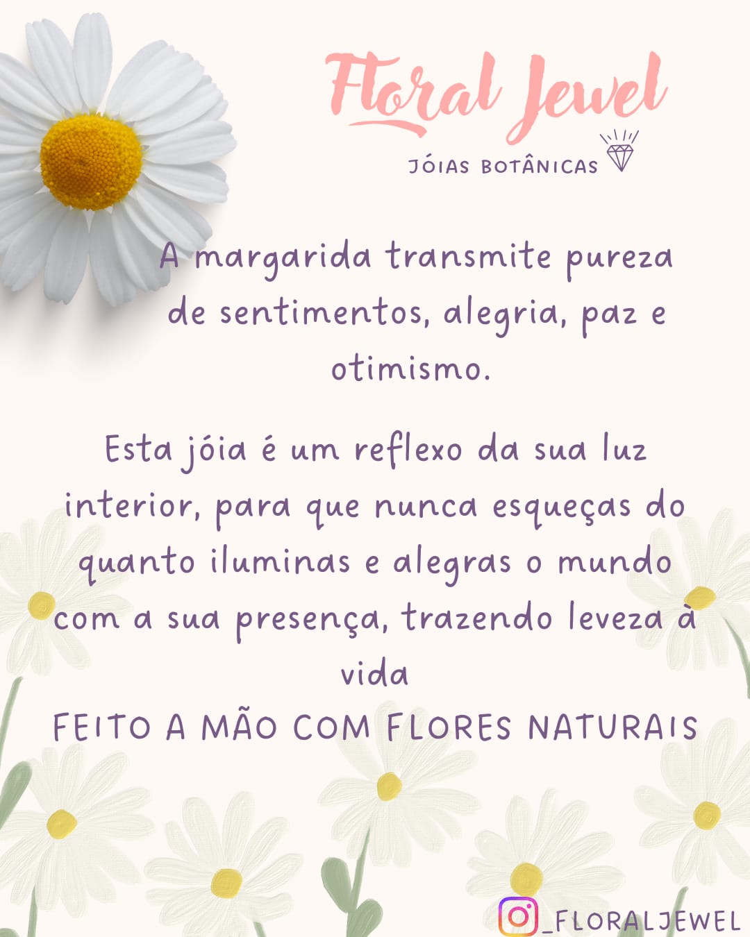 Conjunto Margarida Branca