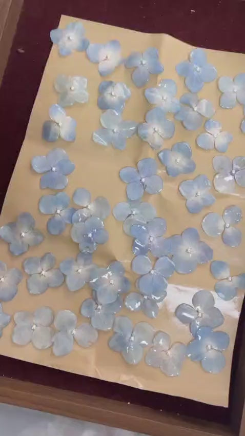 Colar Hortênsia Azul
